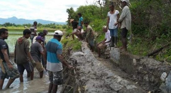 Petani Tetekolo, mengunakan material seadanya untuk memperbaiki senderan penahan jalur air menuju sawah mereka. (foto: istimewa)