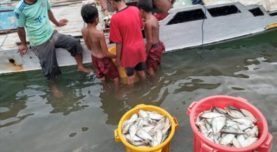 Nelayan kini mengeluh, karena hasil tangkapan minim. Seperti yang terlihat di Pantai Oeba, harga ikan mahal pembeli pun jarang. (andy/kupangterkini.com)