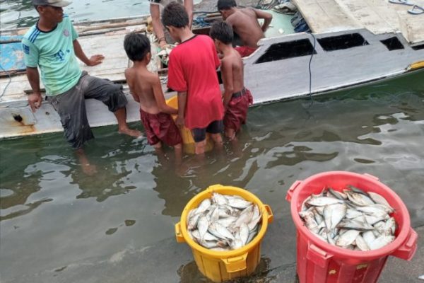 Nelayan kini mengeluh, karena hasil tangkapan minim. Seperti yang terlihat di Pantai Oeba, harga ikan mahal pembeli pun jarang. (andy/kupangterkini.com)