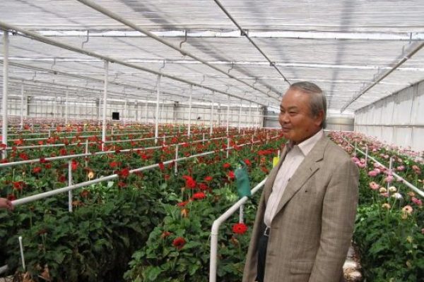 Penemu teknologi EM, Prof Dr Teruo Higa sedang mengamati tanaman yang menghijau. (ist)