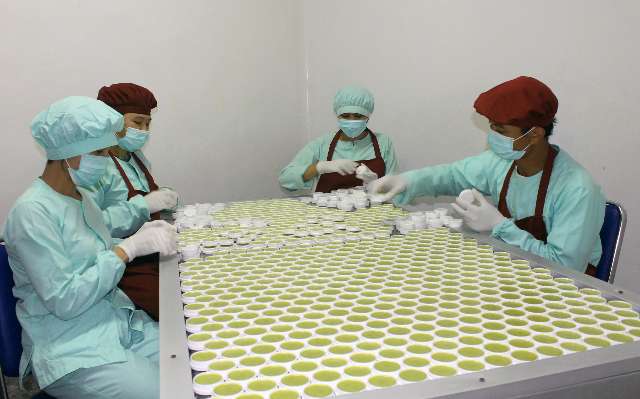 Pekerja pabrik EM yang serius menyelesaikan tanggungjawab membereskan kemasan produknya. ( foto: albert kin / kupangterkini.com)