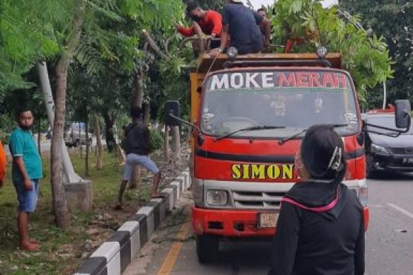 Theresia Maria Inacio saat memantau UPTD Pertamanan serta petugas kebersihan merapikan dahan pohon di Jalan El Tari. (yandry/kupangterkini.com)