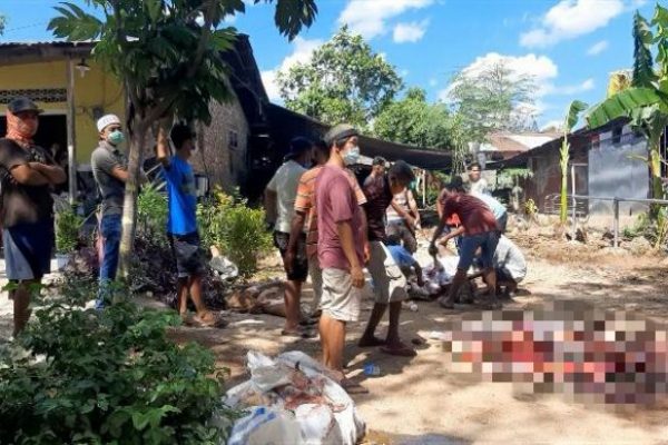 Warga yang hadir dalam proses pemotongan hewan Qurban (yandry/kupangterkini com)
