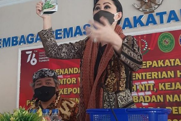 Ketua Dekranasda, Julie Sutrisno Laiskodat saat memamerkan produk daun Kelor (yandry/kupangterkini.com)