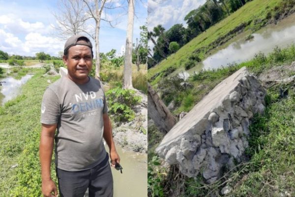 Yan Tameno di lokasi persawahan Tuak Bengko serta puing tanggul bendung yang hancur diterpa badai seroja. (yandry/kupangterkini.com)
