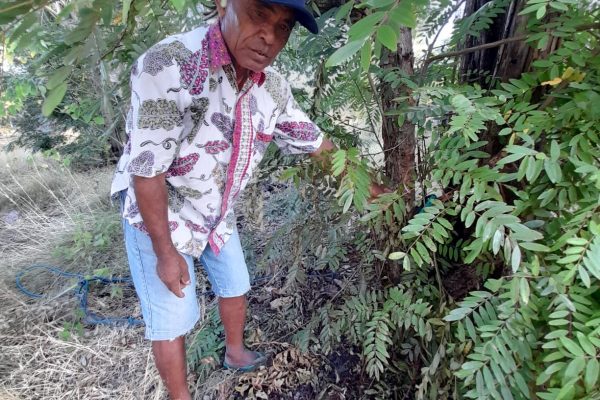 Simon Lubalu menunjukkan lokasi sapinya disembelih oleh pencuri