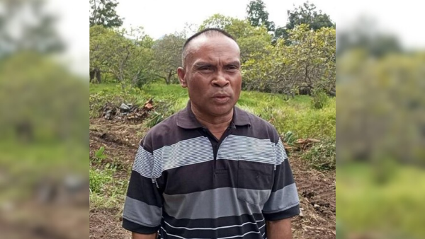 Wakil Bupati Flores Timur, Ignasius Boli
