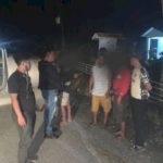 Pelaku pembunuhan saat diamankan Polisi (ist)