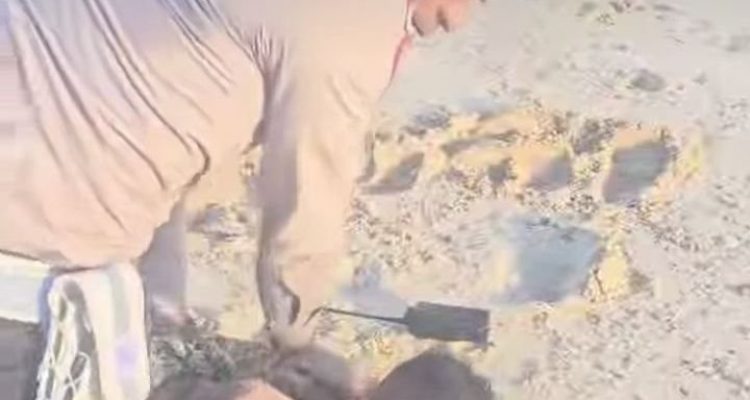 Polisi saat membekuk pelaku, pencurian helm setelah nekat melompat ke laut (ist)