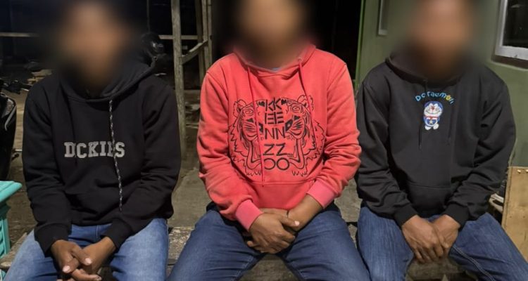 Ketiga pelaku pembakaran Burung Hantu yang diamankan (ist)