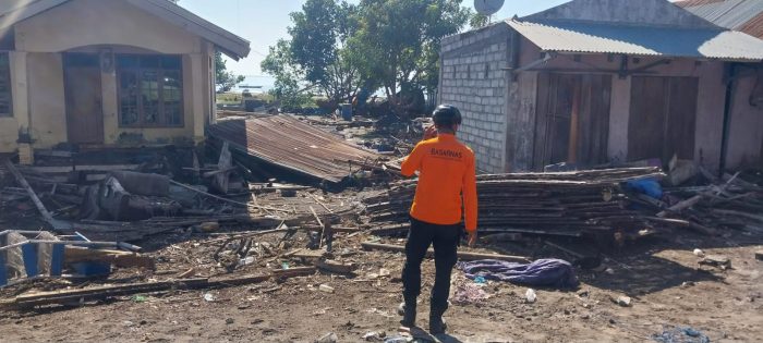 Tim SAR melakukan penyisiran dan pertolongan hari kedua pasca gempa (Basarnas Maumere)