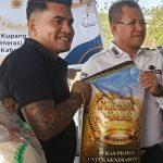 Piterson Lay mengangkat beras Kupang Emas hasil produksi CV SPM yang dikelolanya (yandry/kupangterkini.com)